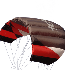 Sting 4 line Power Kite