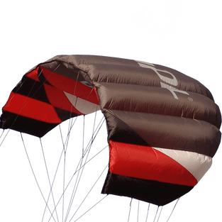 Sting 4 line Power Kite