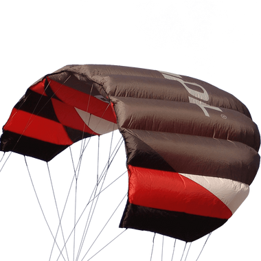 Sting 4 line Power Kite
