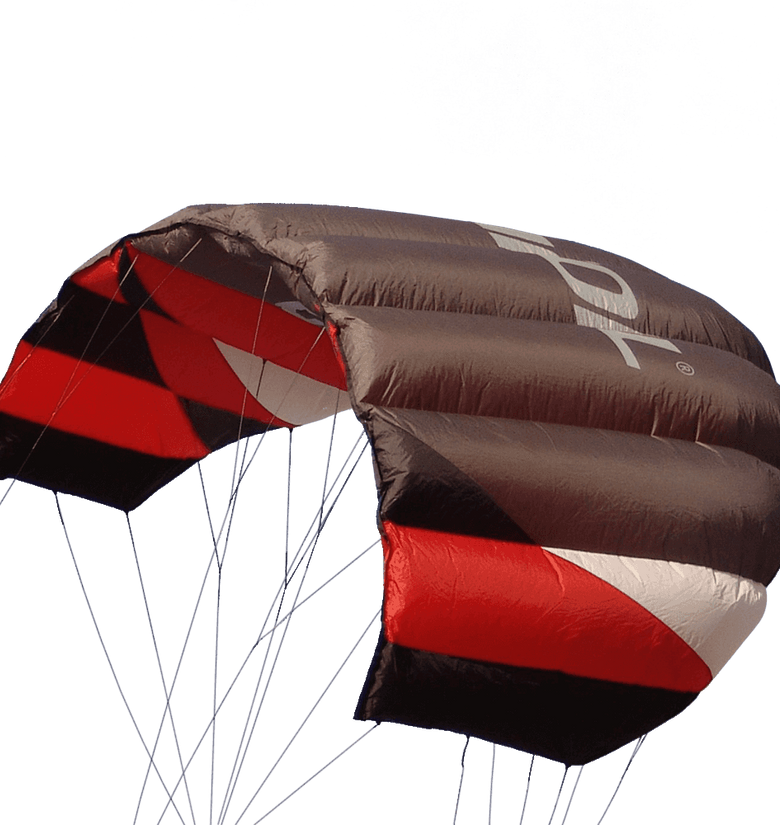 Sting 4 line Power Kite